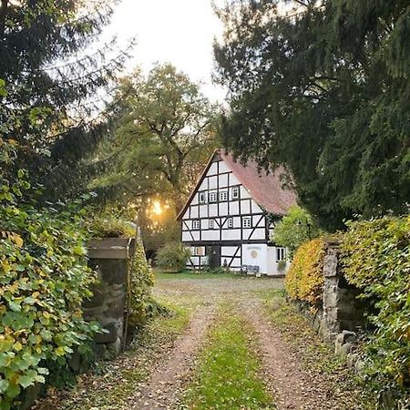 Wassermuehle Triglitz - Alleinlage Fuer Retreats, Workshops, Family & Friends Luaran gambar