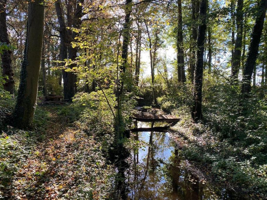 Wassermuehle Triglitz - Alleinlage Fuer Retreats, Workshops, Family & Friends Luaran gambar