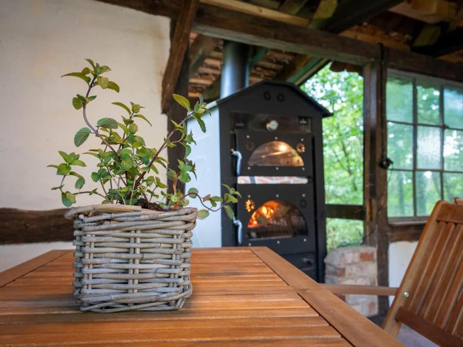 Wassermuehle Triglitz - Alleinlage Fuer Retreats, Workshops, Family & Friends Luaran gambar