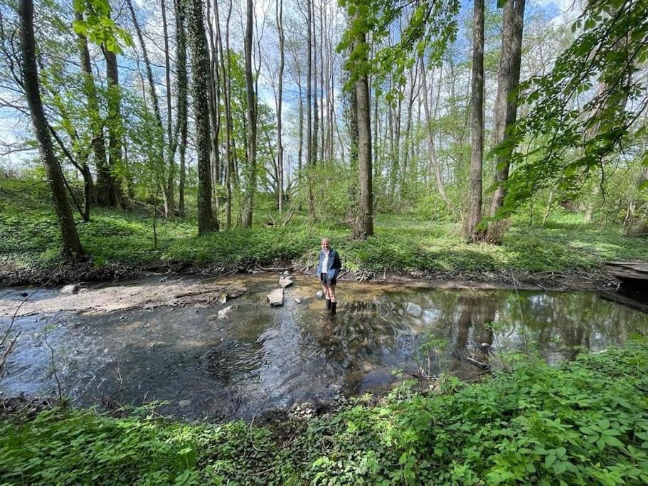 Wassermuehle Triglitz - Alleinlage Fuer Retreats, Workshops, Family & Friends Luaran gambar